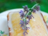 lemon-cake-dsc_0529-550h