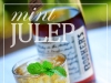 mint-julep-dsc_0096-550h